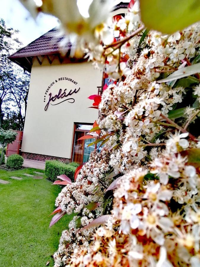 Jolan Pension & Restaurant Cicov Exteriör bild
