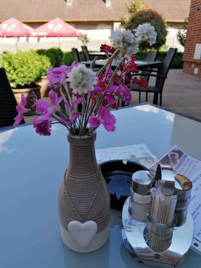 Jolan Pension & Restaurant Cicov Exteriör bild
